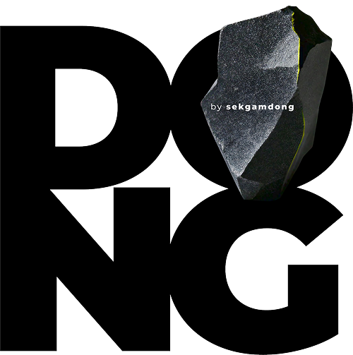 DONG KOL Logo